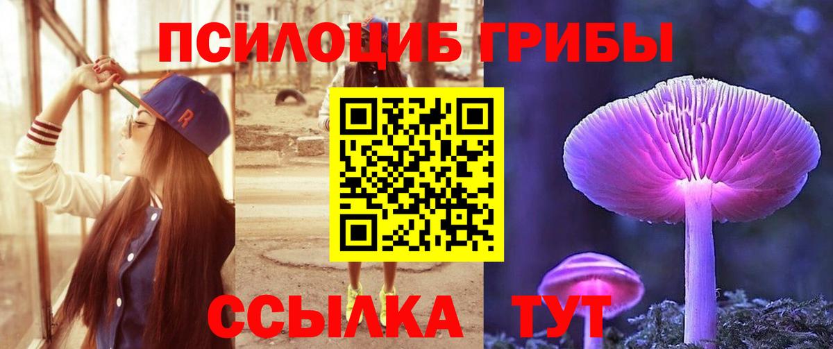 Печора  Галлюциногенные грибы Cubensis  Вход с VPN  Галлюциногенные грибы Psilocybine cubensis 